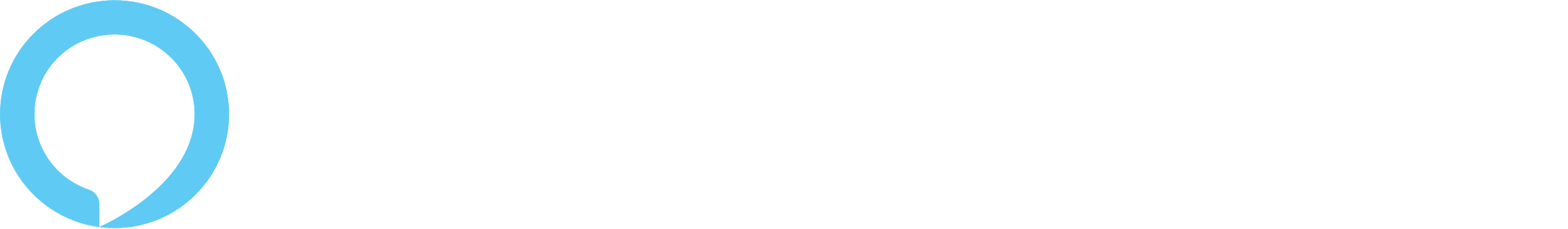 Palm Coast Amazon Alexa Skill